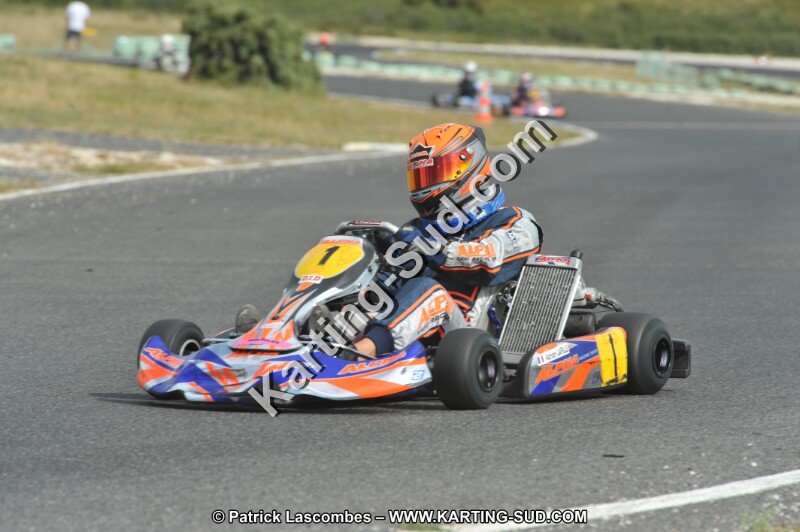 DSC (3690).JPG